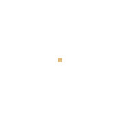 David G's photo