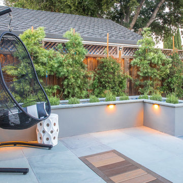 Modern San Jose Backyard