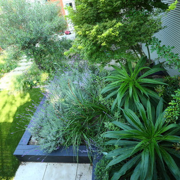 Mediterranean Garden landscaping in Chiswick