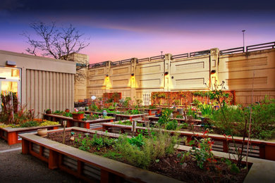 This is an example of a modern landscaping in Seattle.