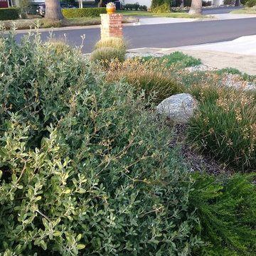 2018 Native Plant Garden Tour