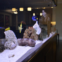 fish tank