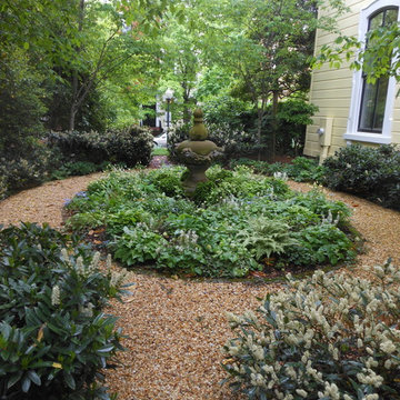 Washington DC Residence