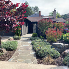 Landscape Design