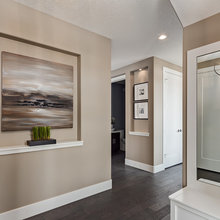 paint options