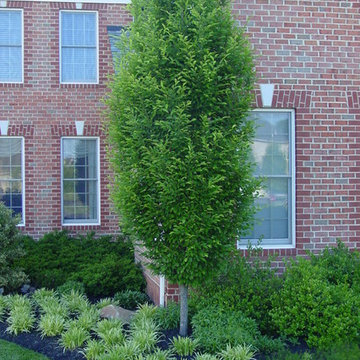 Cattail Ridge Federal Home