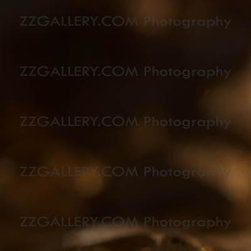 GOLDEN MYSTERY - Fine Art Prints