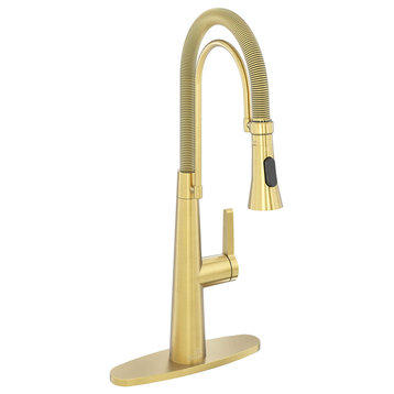 Single-Handle Spring Neck Standard Kitchen Faucet with Dual-Function, Brushed Gold
