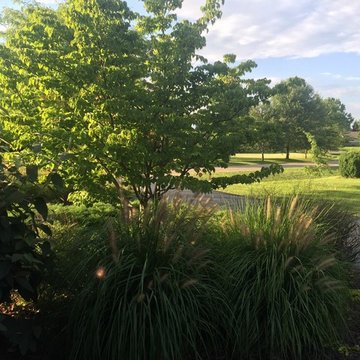 Deer Bluff