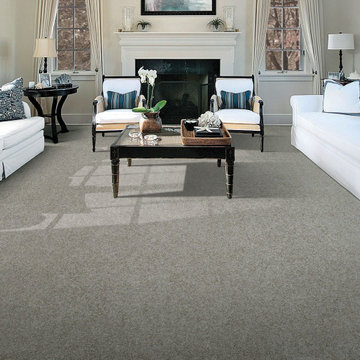 Family Friendly Carpet