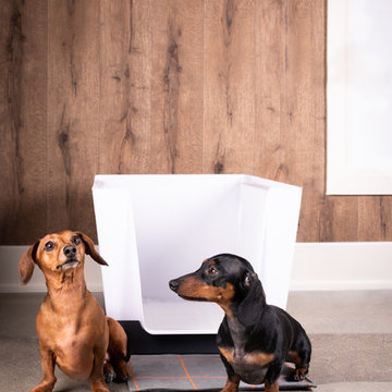 Dog Space