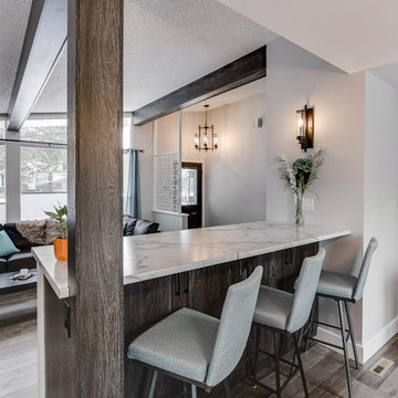 Saskatoon, Renovation - Mist