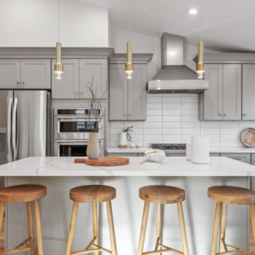 Full House Remodel