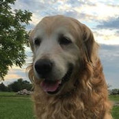 Lisa Cundiff's photo