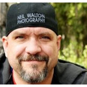 Neil Waltons foto