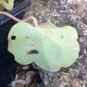 Mark Allen's photo