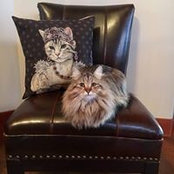 Kay Arby's photo