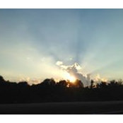 Greg Rattini's photo