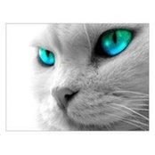 Joanne Brincat's photo