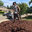 Medford & Daughterz Extreme Lawn Care