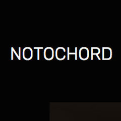 Notochord group Inc