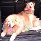 Lanie Mossey's photo