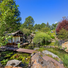 landscape dreams