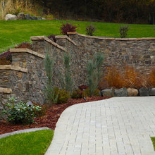Landscape Ideas