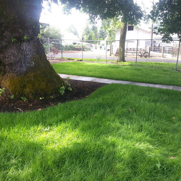 Before & After Master Gardener Landscape Makeover Lawn Reduction & Rain Gardens