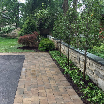 Ravine Restoration and Stabilization