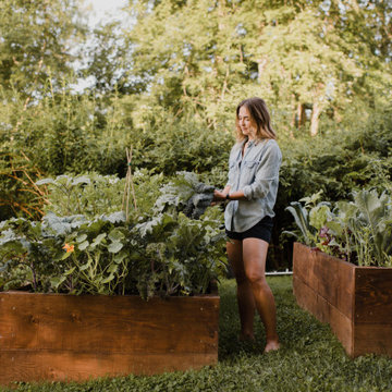 Laura's Raised Beds