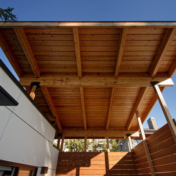 Queen Anne Tree House