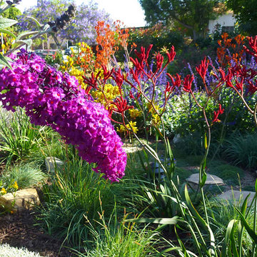 Pollinators Paradise