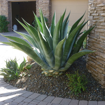Private Residence 25