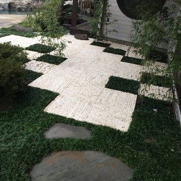 Japanese Style Patio