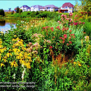 At The Water's Edge. Minnesota Landscape Design.