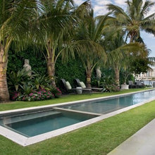 Landscape Ideas