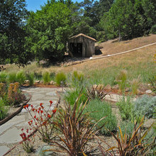 backyard hill