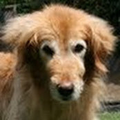 Erin Kalmbach's photo
