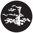 Roundtree Landscaping, Inc's profile photo