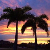 Walter Tucker's photo