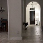 Phil Russell's photo