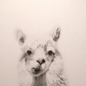 Erica Welch's photo
