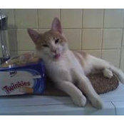 Gilbert Devanny Bengimina's photo