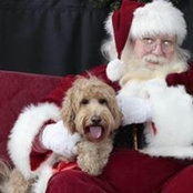 Pam Morris's photo