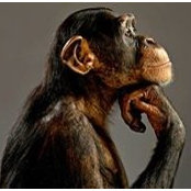 Daniel Delvasto's photo