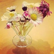 Laurence Paul's photo