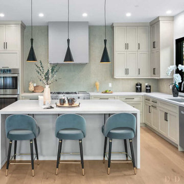 Contemporary meets Modern in Oak Park