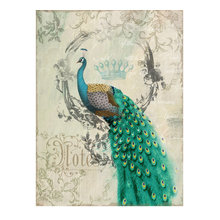 Peacock Items