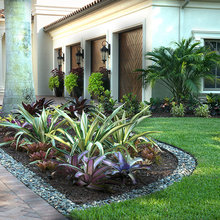 Tropical Planting